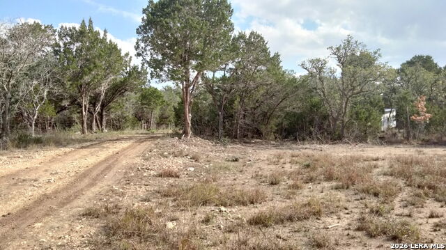Bl 14 Lt 17-18 Rodeo Path Property Photo 9