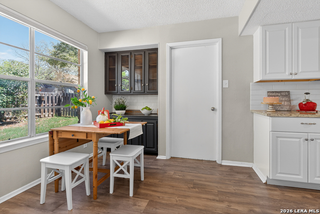 2019 Crooked Creek St Property Photo 21