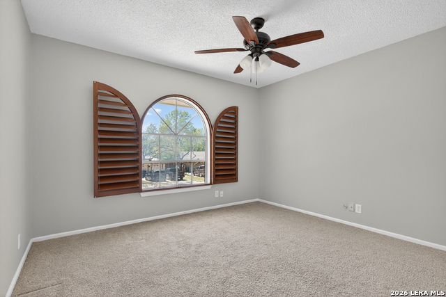 2019 Crooked Creek St Property Photo 30