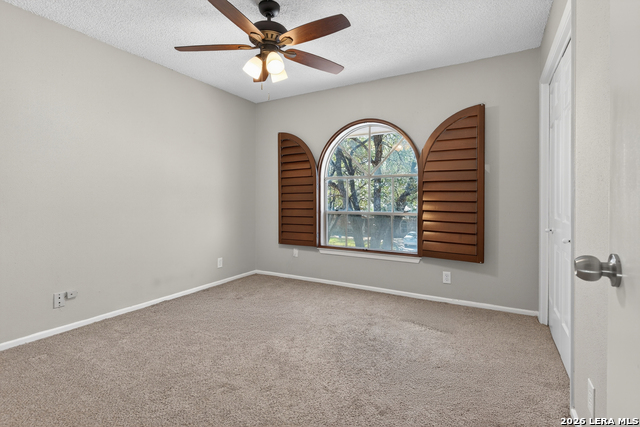 2019 Crooked Creek St Property Photo 32