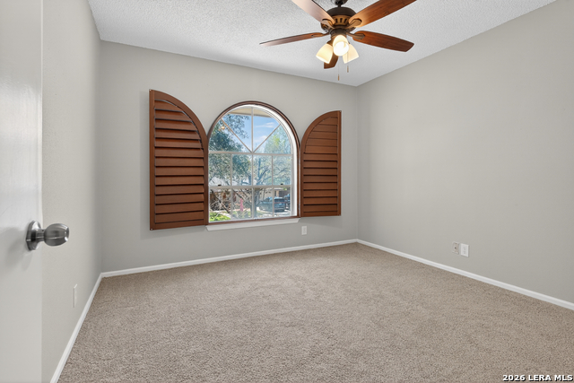 2019 Crooked Creek St Property Photo 33