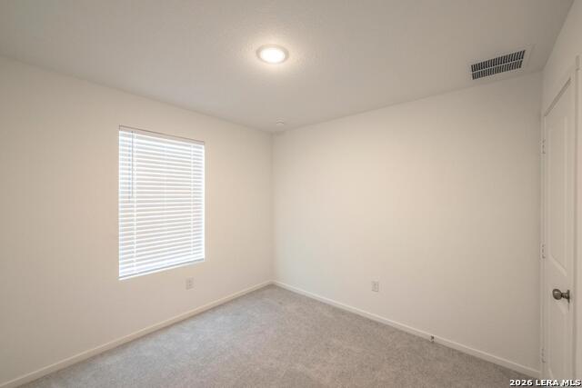 287 Bailey Bluff Property Photo 19
