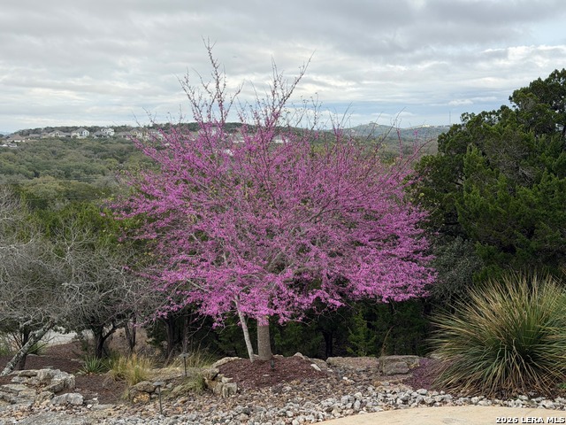 25011 Caliza Property Photo 22