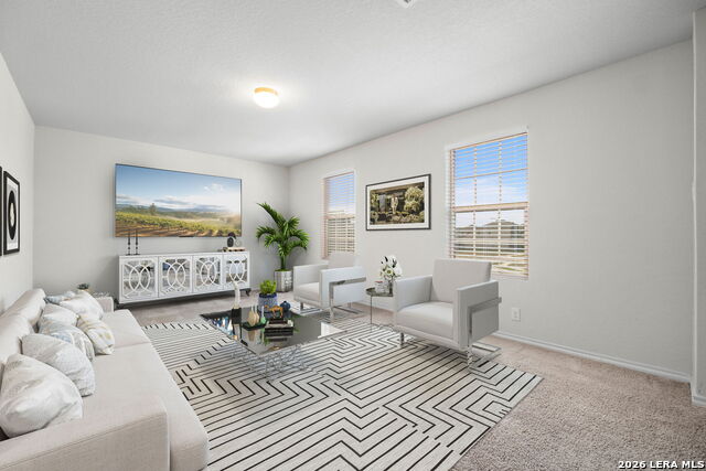 6930 Stipe Ln Property Photo 28