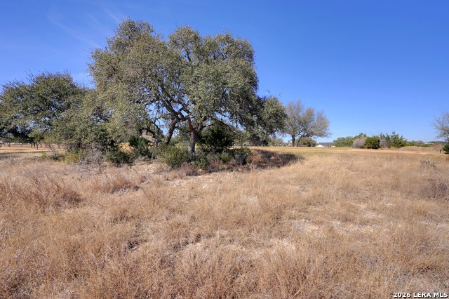 425 George Dolson Property Photo 15