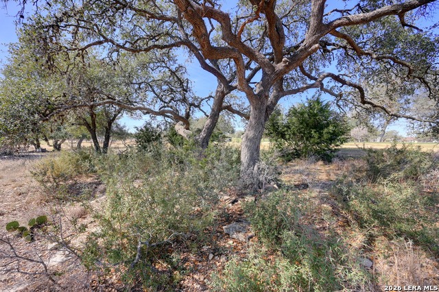 425 George Dolson Property Photo 17
