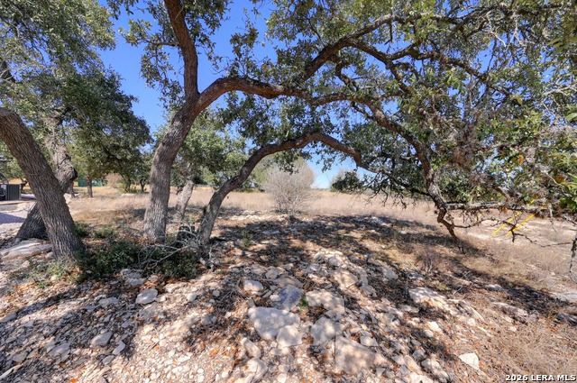 425 George Dolson Property Photo 21