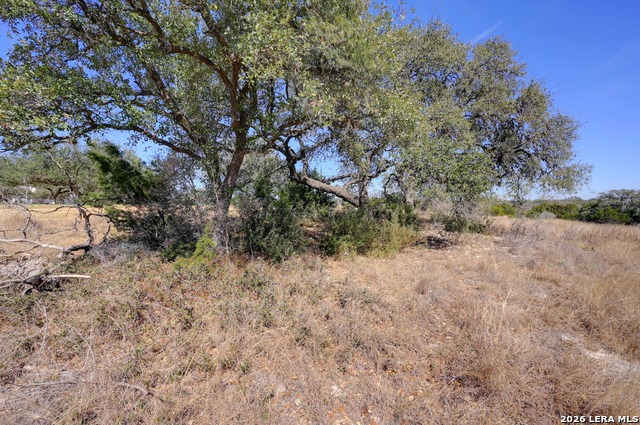 425 George Dolson Property Photo 25