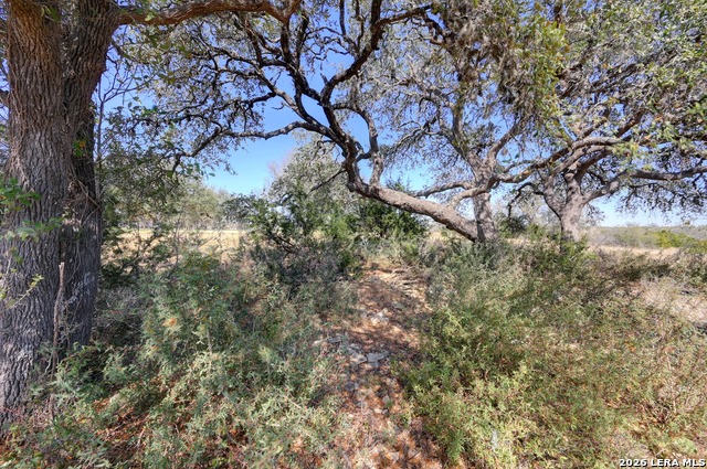 425 George Dolson Property Photo 26