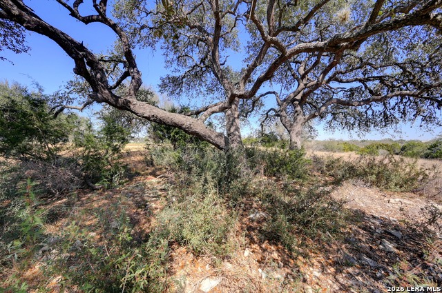 425 George Dolson Property Photo 27