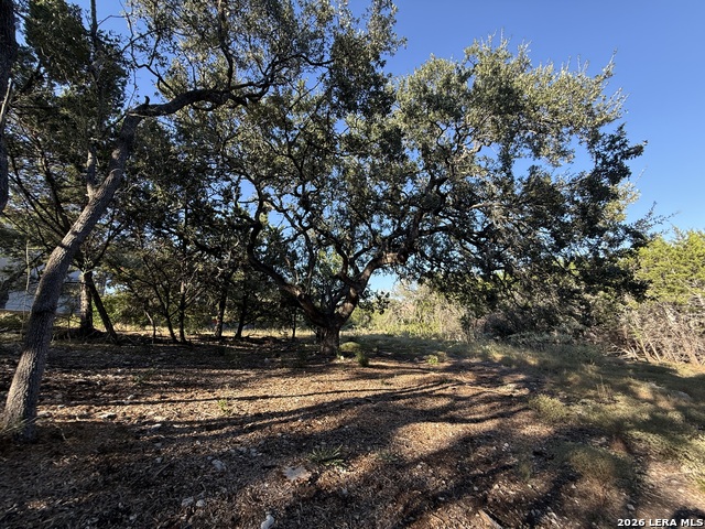 8004 Arbor Vlg Property Photo 1
