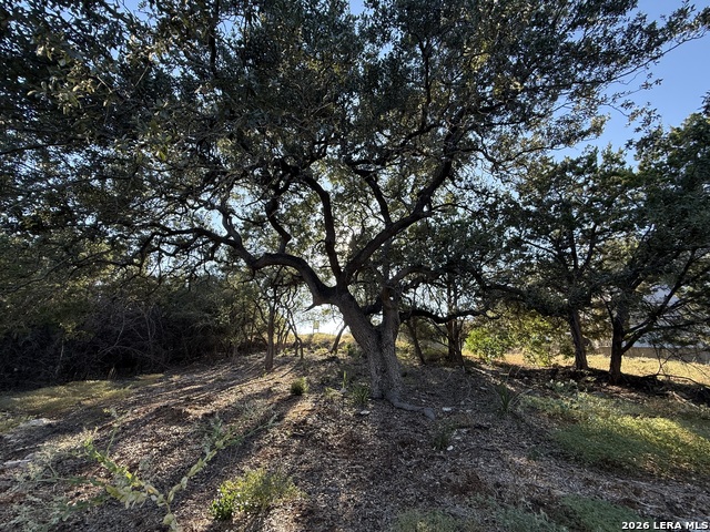 8004 Arbor Vlg Property Photo 2