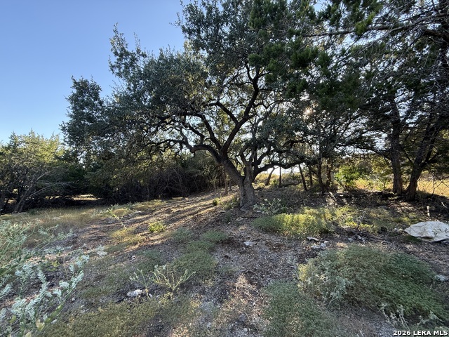 8004 Arbor Vlg Property Photo 3