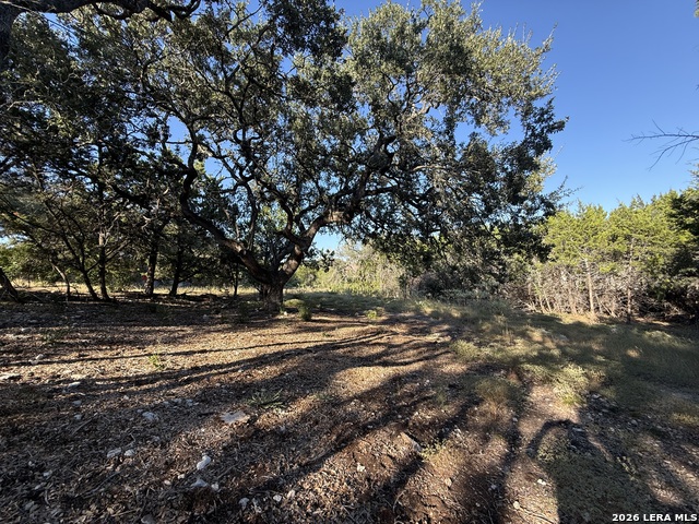 8004 Arbor Vlg Property Photo 5
