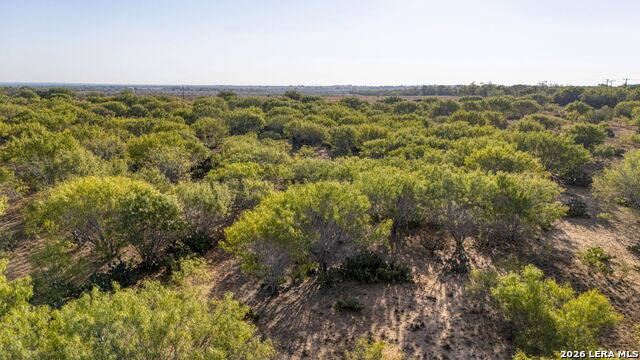 Tbd Cr 331 Property Photo 7