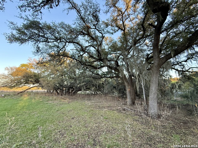638 Cool Spring Drive Property Photo 4