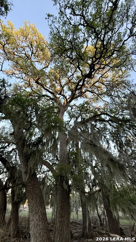 638 Cool Spring Drive Property Photo 9