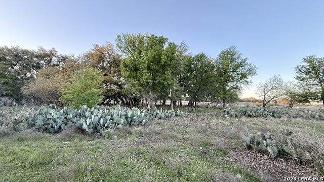 638 Cool Spring Drive Property Photo 11