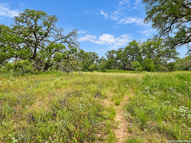 Tract#8 12.31a County Road 777 Property Photo 2