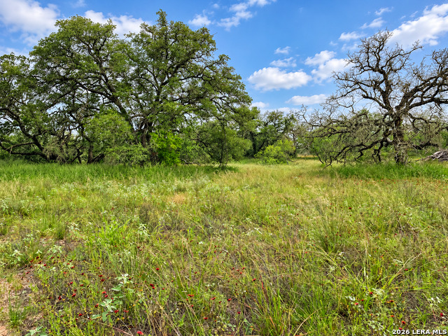 Tract#8 12.31a County Road 777 Property Photo 3