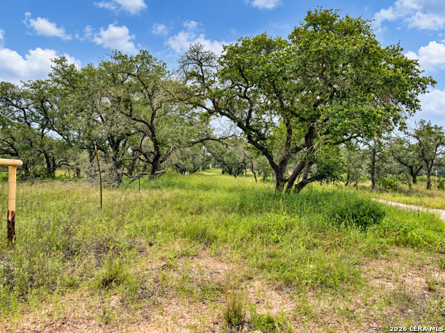 Tract#8 12.31a County Road 777 Property Photo 4
