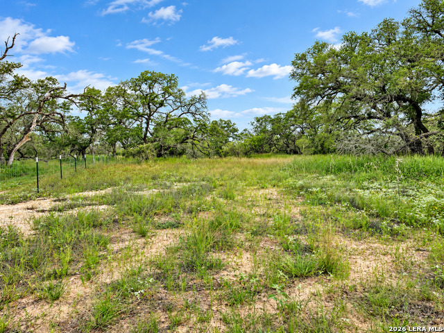 Tract#8 12.31a County Road 777 Property Photo 5