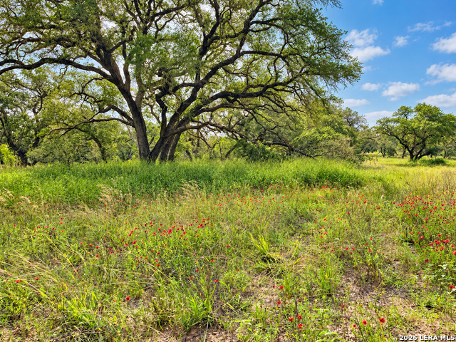 Tract#8 12.31a County Road 777 Property Photo 6