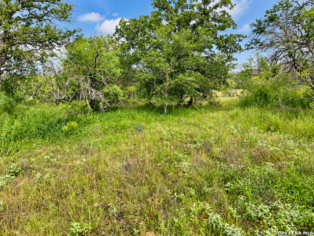 Tract#8 12.31a County Road 777 Property Photo 7