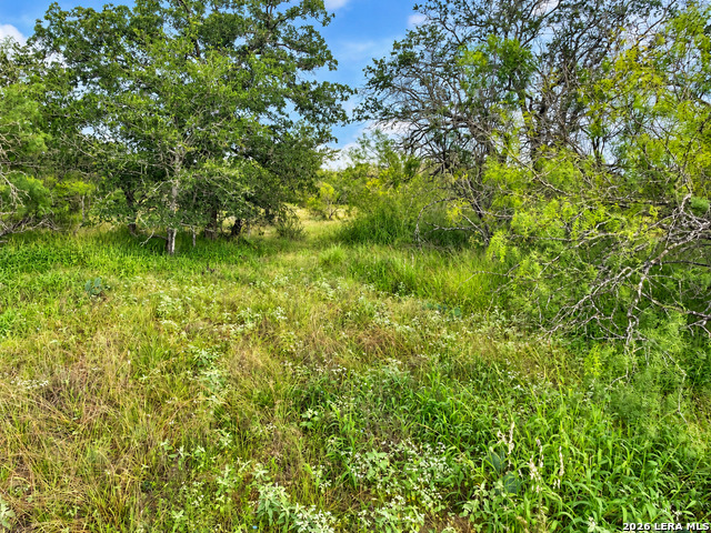 Tract#8 12.31a County Road 777 Property Photo 8