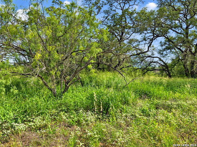 Tract#8 12.31a County Road 777 Property Photo 9