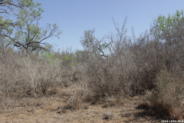 200 Rogers Ranch Road Property Photo 3