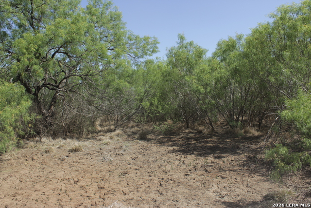 200 Rogers Ranch Road Property Photo 12