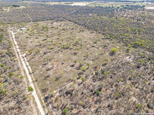 526 Turkey Tree Property Photo 5