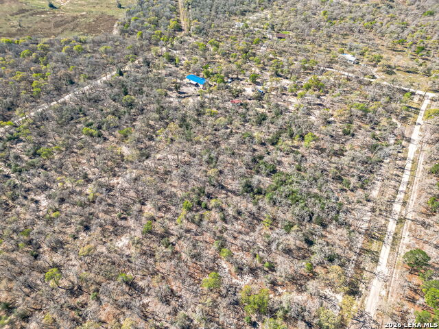 526 Turkey Tree Property Photo 6