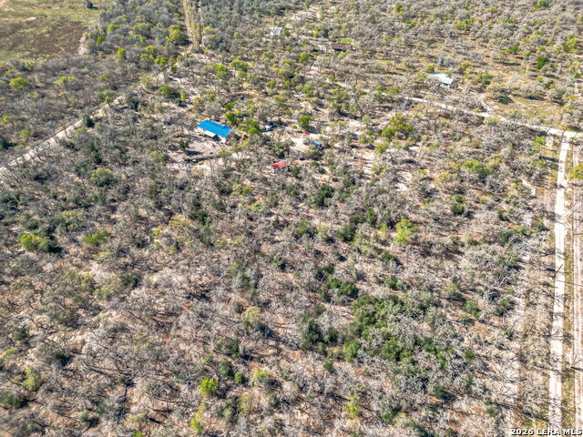 526 Turkey Tree Property Photo 7