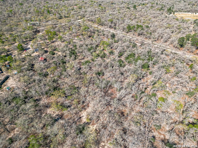 526 Turkey Tree Property Photo 9