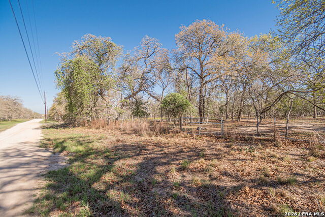 526 Turkey Tree Property Photo 11