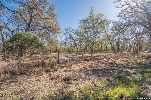526 Turkey Tree Property Photo 12