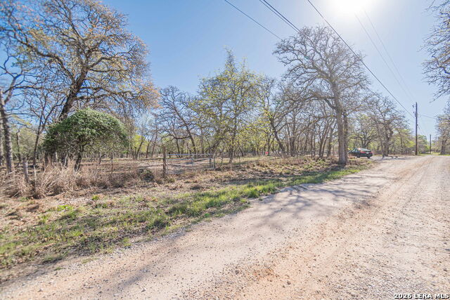 526 Turkey Tree Property Photo 13