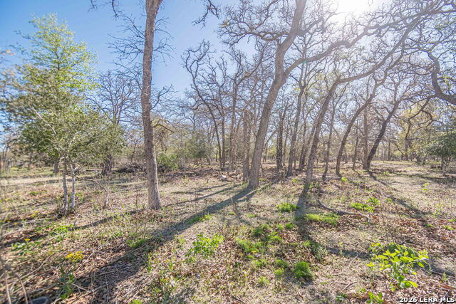 526 Turkey Tree Property Photo 14