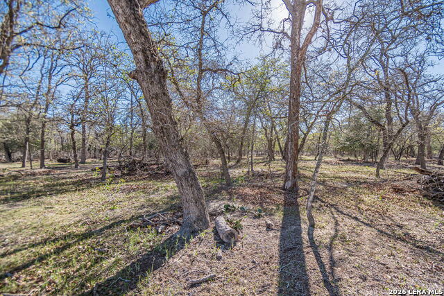 526 Turkey Tree Property Photo 15