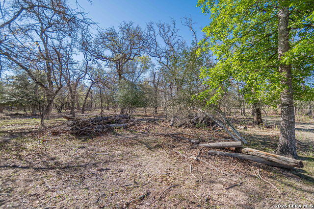 526 Turkey Tree Property Photo 16