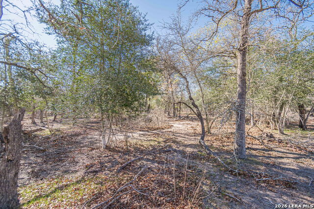 526 Turkey Tree Property Photo 17