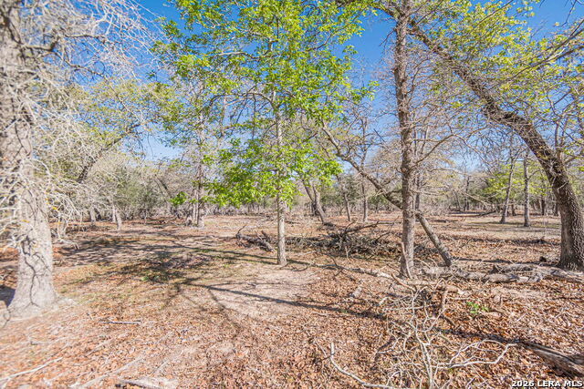 526 Turkey Tree Property Photo 18