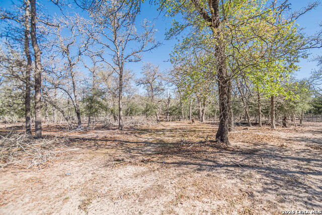 526 Turkey Tree Property Photo 19