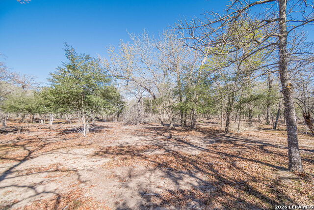 526 Turkey Tree Property Photo 20
