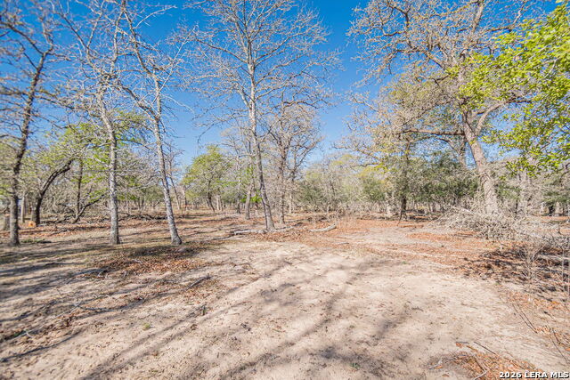 526 Turkey Tree Property Photo 21