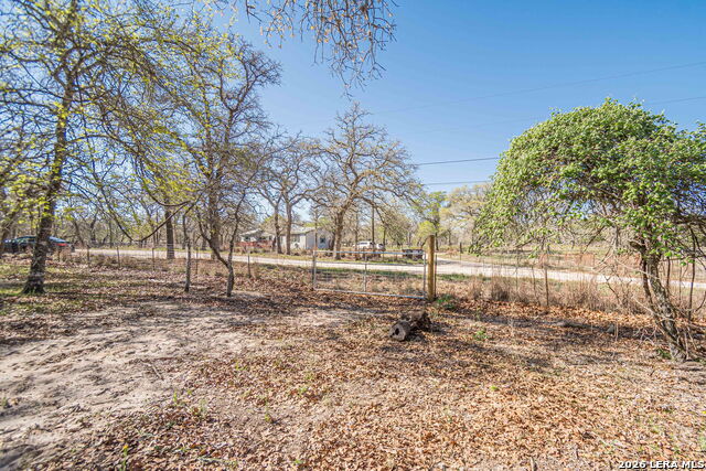 526 Turkey Tree Property Photo 23
