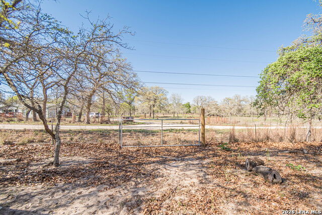 526 Turkey Tree Property Photo 24