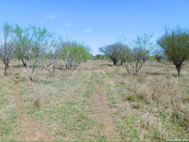 10566 Texas 127 Property Photo 2